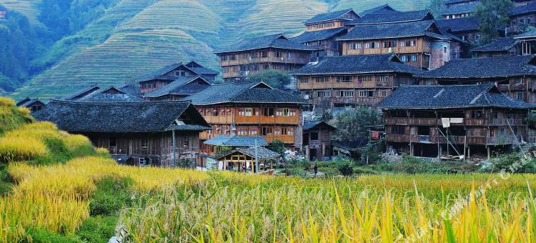 龙脊梯田云上小屋(金佛顶观景点店)图片