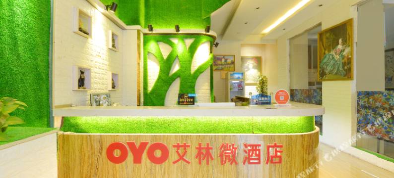 河池艾林微酒店图片