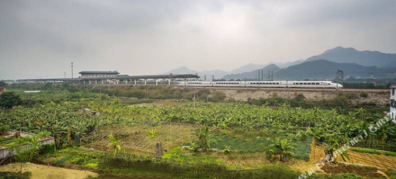 南靖悠闲居客栈图片