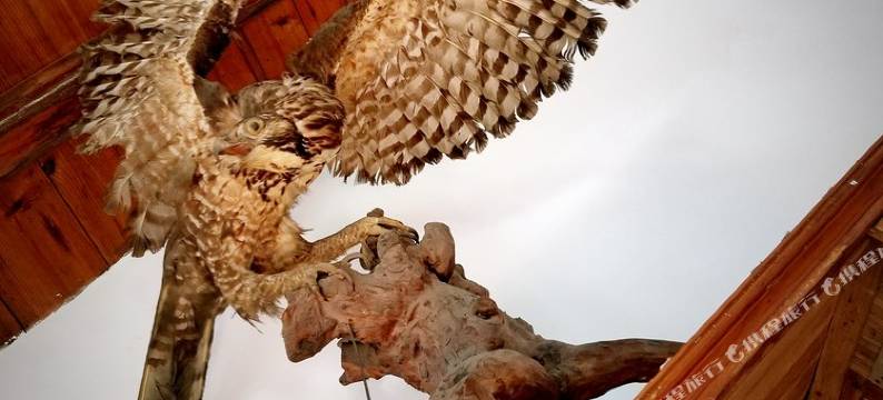 庐山忆庐民宿图片