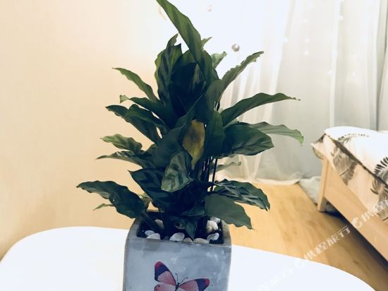 镇江林深见鹿民宿