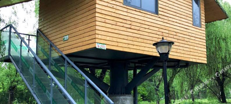 途居南通开沙岛露营地图片