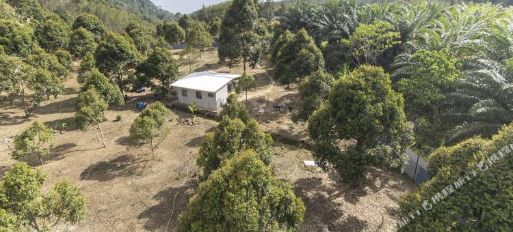 岩山酒店(Rock Mountain)图片