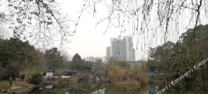 熊猫仔酒店(成都新都店)图片