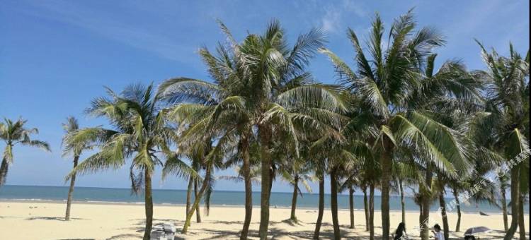 城市便捷酒店(茂名东汇城文化广场店)图片