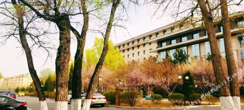 包头青山宾馆图片