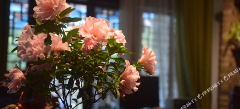 兴义山风逸栈图片