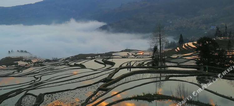 元阳多依树景区客栈图片