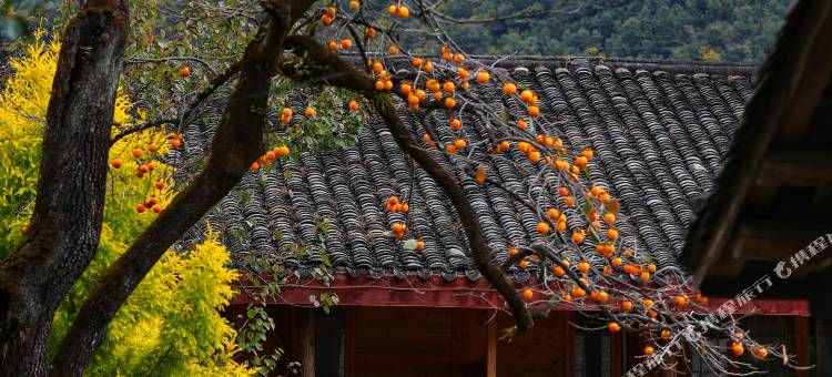 海螺沟古道慢别院(老街天主教堂店)图片