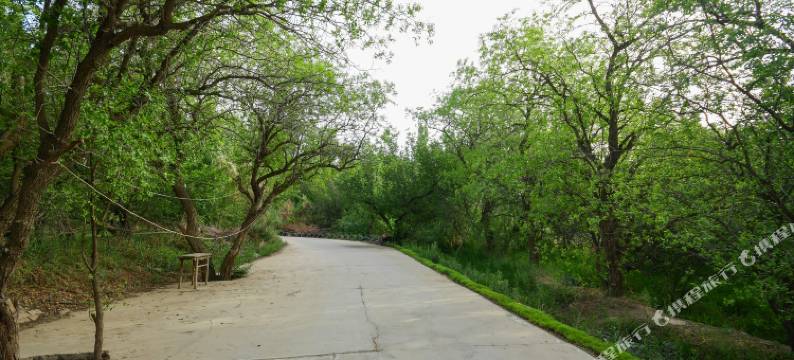 敦煌九居客栈(鸣沙山月牙泉景区店)图片