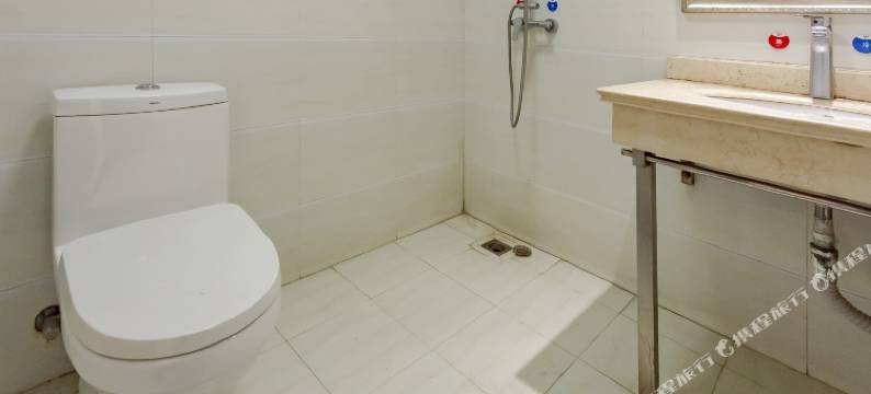 德士顿酒店(动物园店)图片