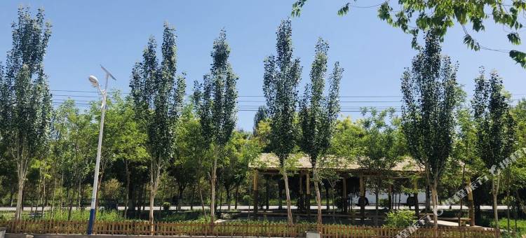 敦煌悠然客栈(鸣沙山月牙泉店)图片