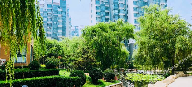 龙口四海有家民宿图片