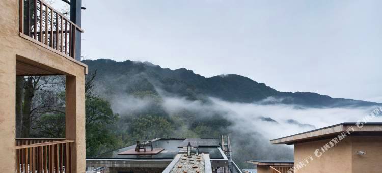 原舍揽树(松阳店)图片