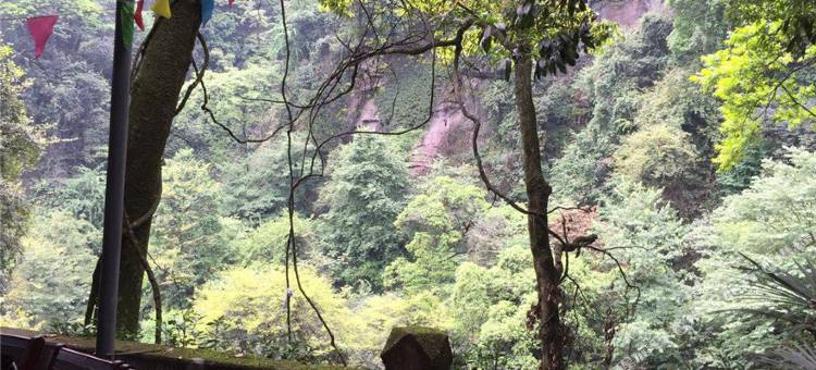 天台山西西里民宿图片