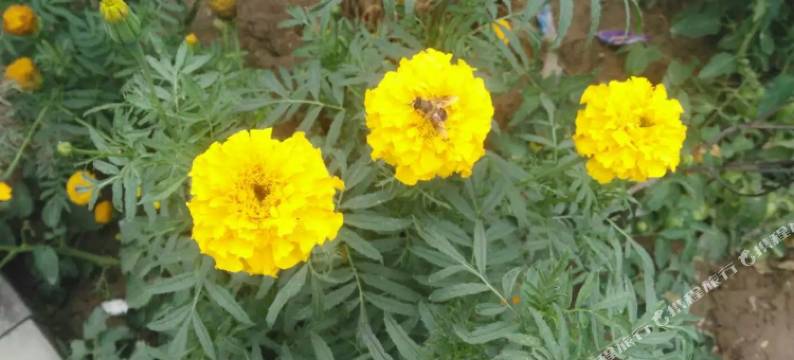 肃南丹坤快捷宾馆图片