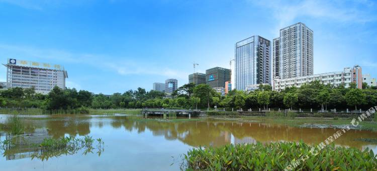 格林联盟酒店(深圳南山科技园店)图片