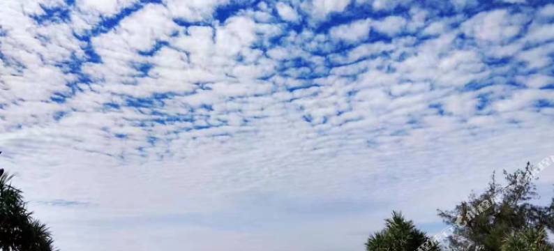 双月湾翡翠山海景度假公寓(万科双月湾店)图片