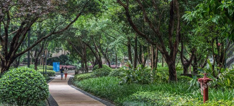 重庆山南小姑娘公寓图片