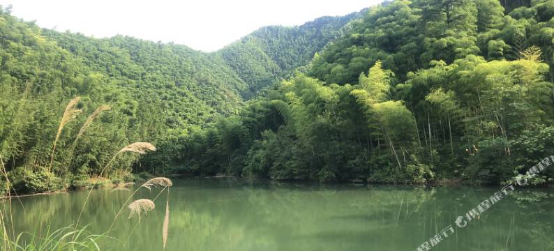 杭州竹里居民宿图片