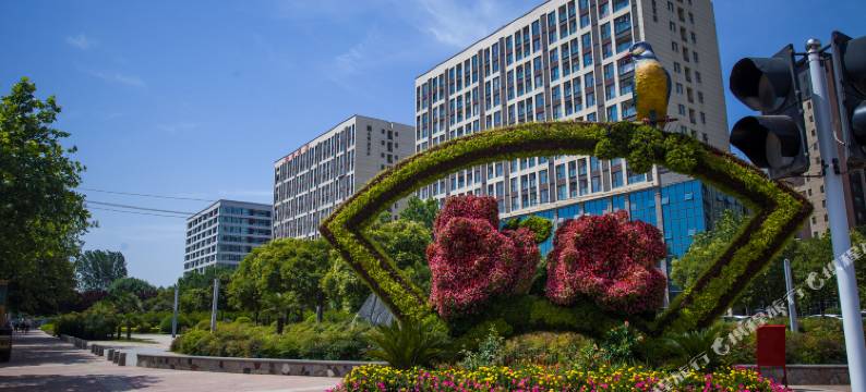 郑州瑞途酒店图片