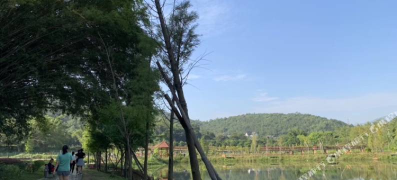 新裕华大酒店图片