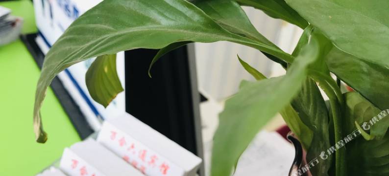 万和六通宾馆(北京鸟巢店)图片