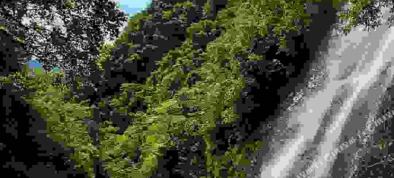 神龙谷和风乡宿农家乐图片