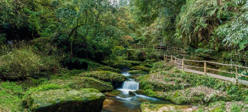 雅安星辉民宿(碧峰峡店)图片