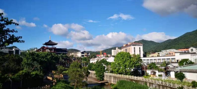 深圳梧桐小筑养生公寓(5号店)图片