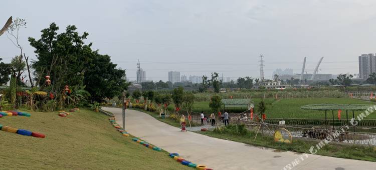 凯德国际酒店(东莞石碣旗舰店)图片