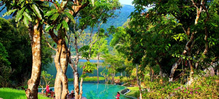 西盟秘境佤寨稻田庄园图片