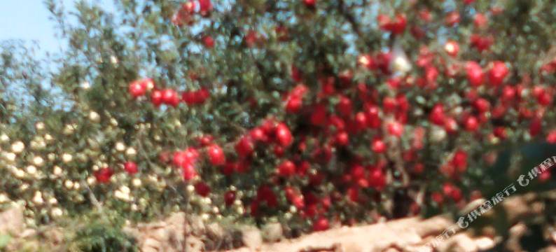 蓬莱王玲艳民宿图片