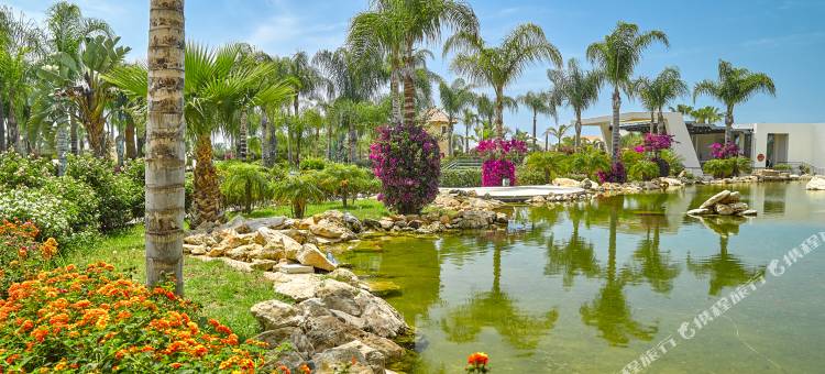 阿依纳帕奥林匹克泻湖酒店(Olympic Lagoon Resort Ayia Napa)图片