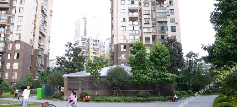 重庆夫人爱吃鱼公寓(2号店)图片