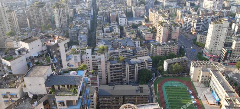 重庆夫人爱吃鱼公寓(2号店)图片