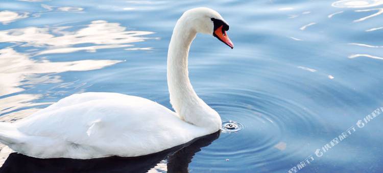 格林豪泰智选酒店(荣成高铁站店)图片