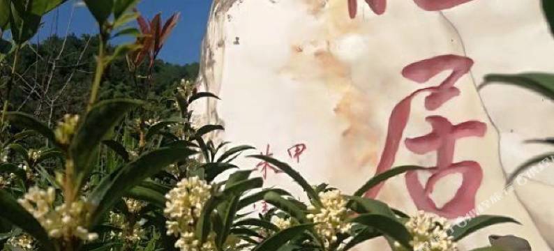 重庆卧龙居山庄图片