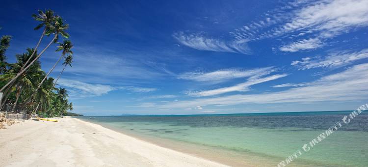 莲花苏梅(Lotus Samui Luxury Beach Villas)图片