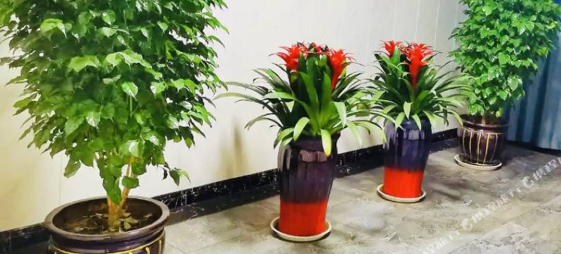 吕梁旺江红快捷酒店图片