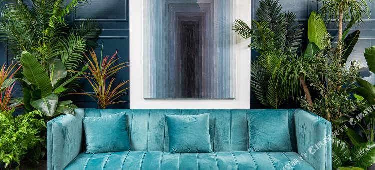 赛亚江景酒店(重庆解放碑洪崖洞店)图片