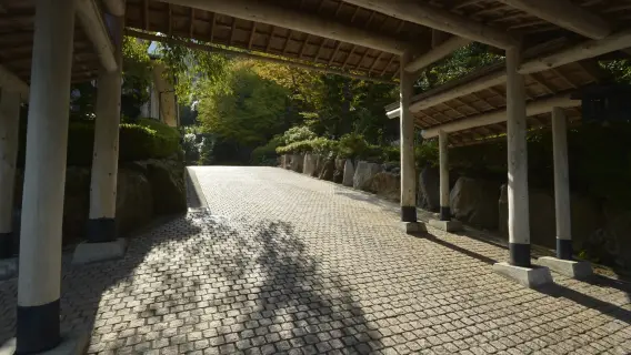 豪華