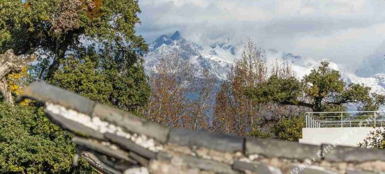 树洞里Sky Mirror star星空雪山之镜|多肉花园(丽江古城大水车店)图片