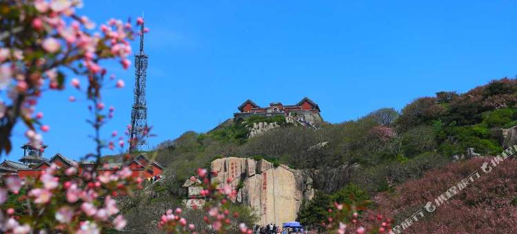 涵舍客栈(泰山红门登山口店)图片