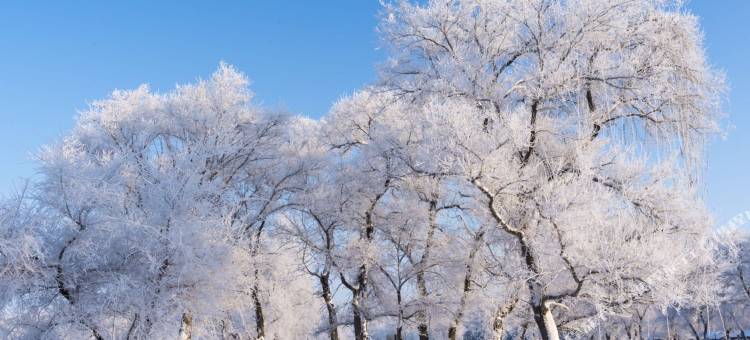辽阳青旅遇尚私汤温泉公寓(佳兆业店)图片