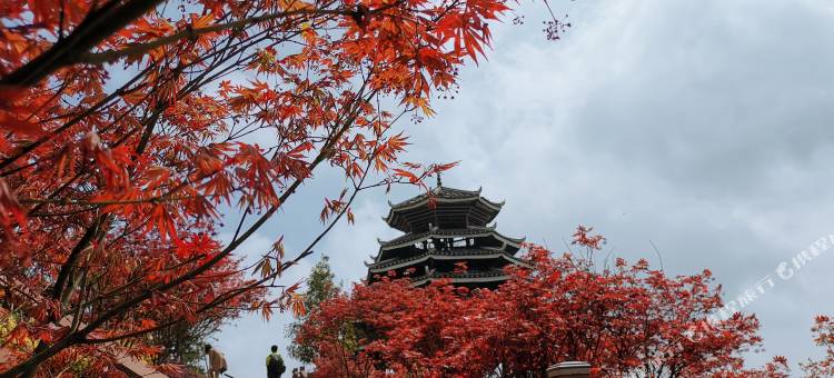 维也纳酒店(三江鼓楼鸟巢集散中心店)图片