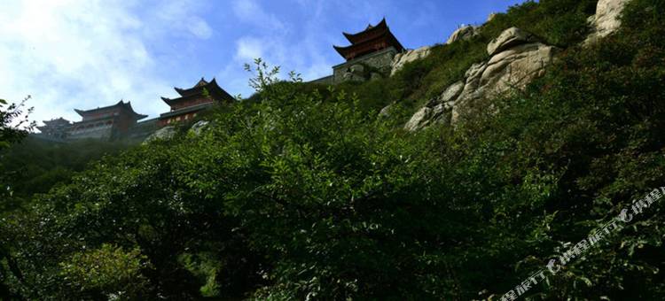 桐柏梅园国际饭店图片