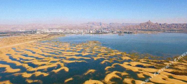 乌海巨海酒店图片