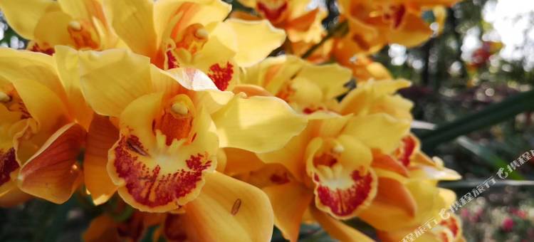 辉南天河宾馆图片