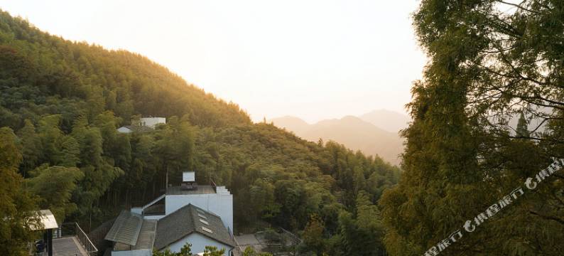 菩提谷(杭州大麓寺店)图片